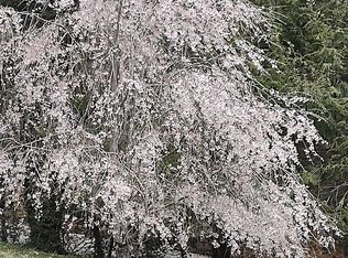 20 Willis Rd, Asheville, NC 28806