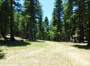 2089 Us Highway 82, Cloudcroft, NM 88317
