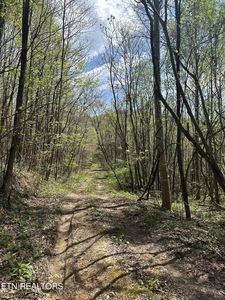 0 Holden Hollow Rd, Jamestown, TN, 38556