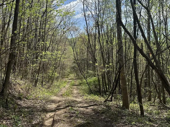 0 Holden Hollow Rd, Jamestown, TN 38556