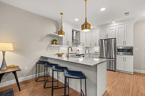 99 Foundry Pl #101 Photo 1