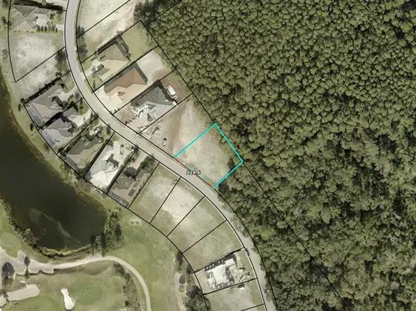 491 Sweetgum Ln Lot 202, Palm Coast, FL 32137