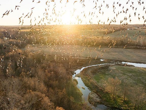 45th image of this home