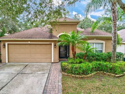 1139 Emerald Hill Way, Valrico, FL, 33594