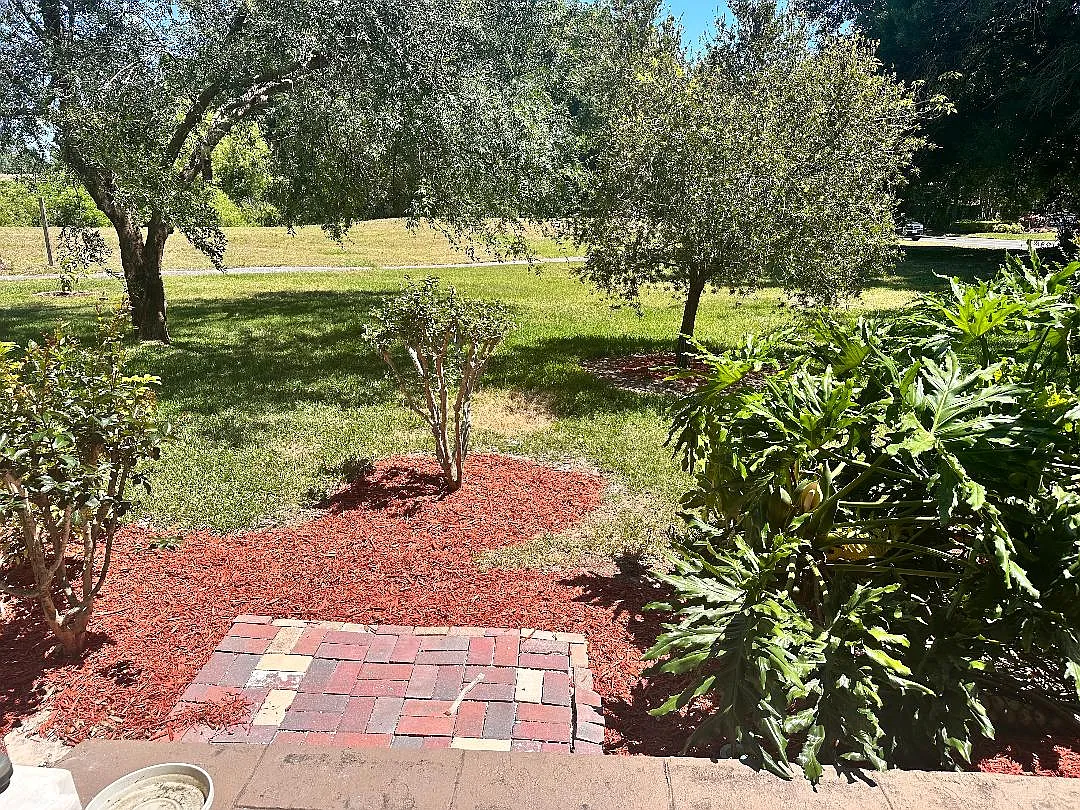 Building Photo - 925 Fenton Ln #2