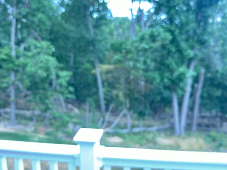 145 Leather Flower Dr — Photo 14