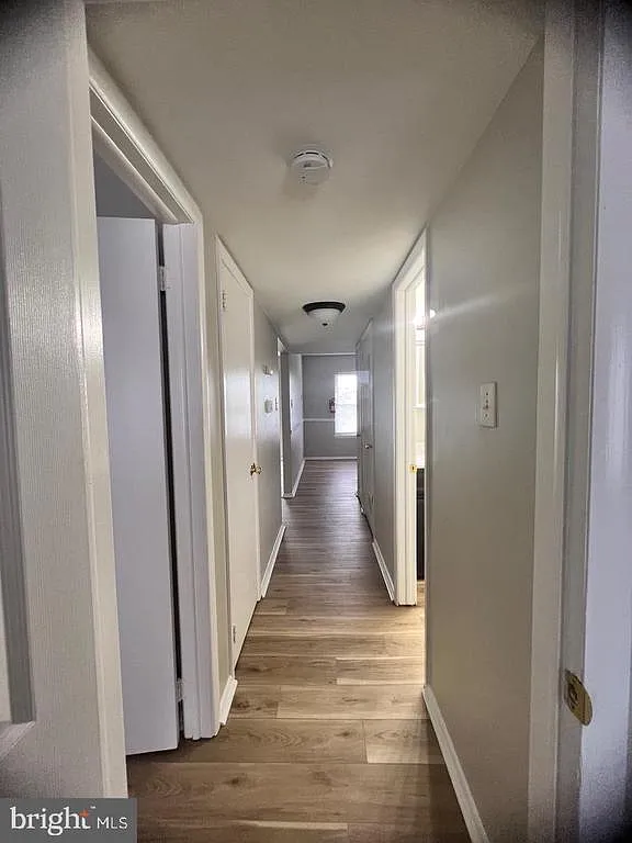 2 bed, 1.0 bath, 828 sqft, $1,675 — Photo 4