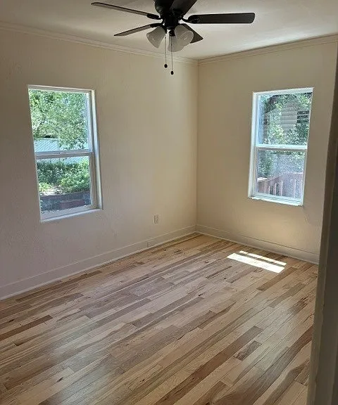 241 Hillside Ave — Photo 12