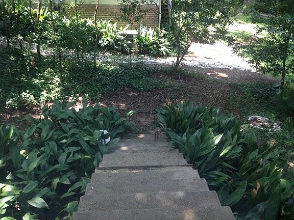 5th image of 1340 Colonial Dr