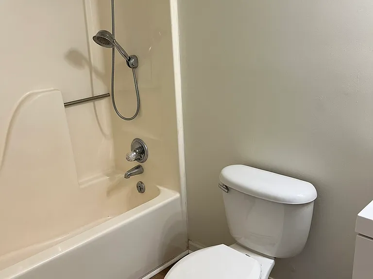 Hall Bathroom