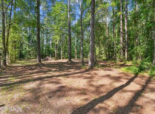 8950 Alligators Rd, Jacksonville, FL 32219