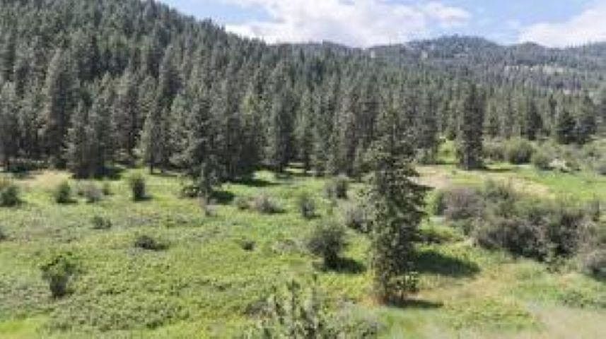 1st image of 20XX Northport Flat Creek Rd