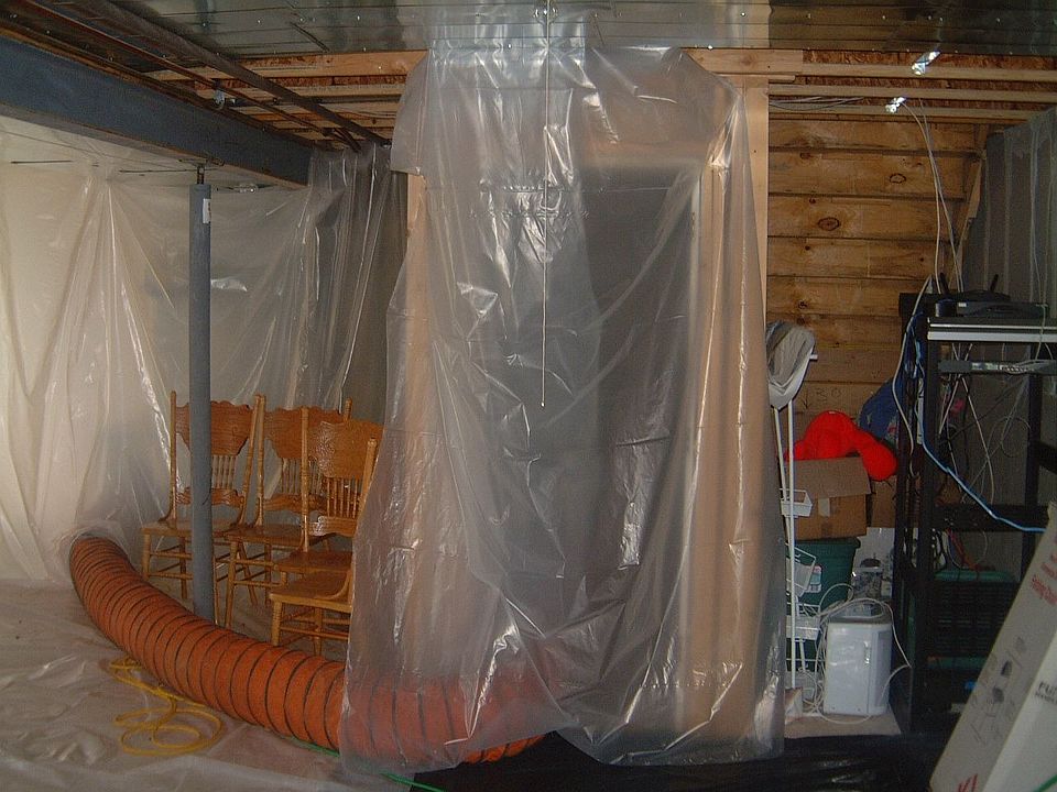Basement mold issue