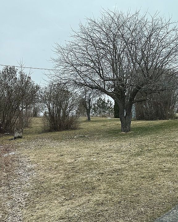 7414 M 65, Posen, MI 49776 Zillow