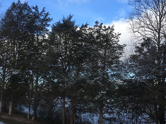 View from deck