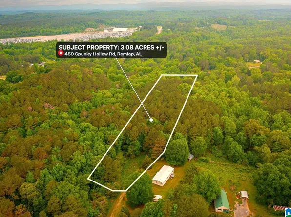 0 Spunky Hollow Rd #1, Trafford, AL 35172