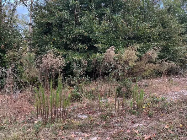 224 Redwood Rd #538, Southport, NC 28461