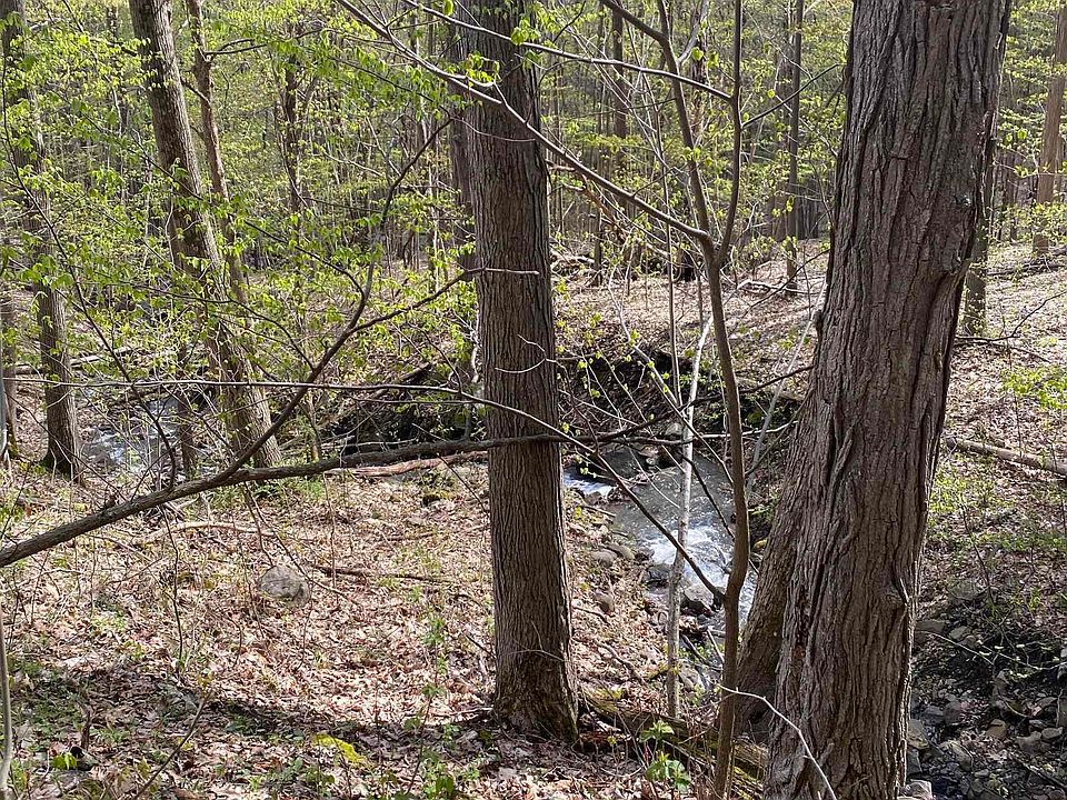 Mill Valley Rd, Middleburgh, NY 12122 MLS 20231013 Zillow