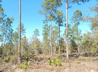 13 Simons Way, Waynesville, GA 31566