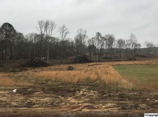 Alabama Highway 205, Boaz, AL 35957