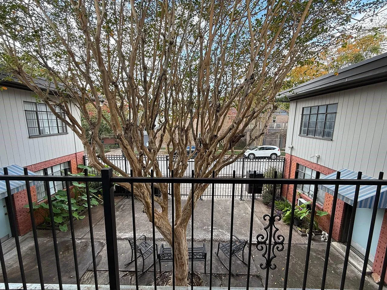 1 bed, 1.0 bath, 650 sqft, $950 — Photo 2
