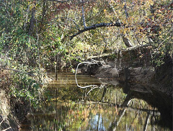1st image of 680 County Road 300