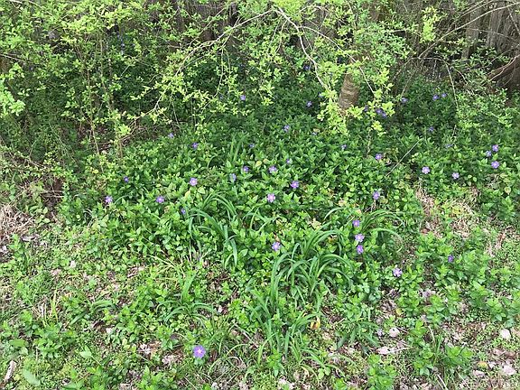 3rd image of 917 N Hwy 343 LOT RESIDUAL
