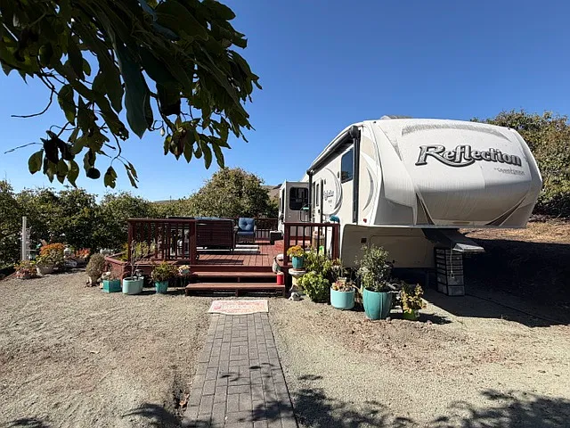 1 bed, 350 sqft, $1,750 — Photo 2