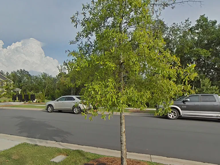 14039 Magnolia Walk Dr — Photo 5