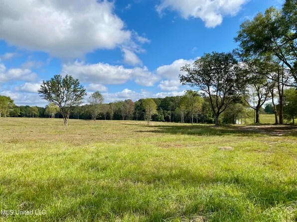 Carey Byrd Rd Lot 6, Carriere, MS 39426
