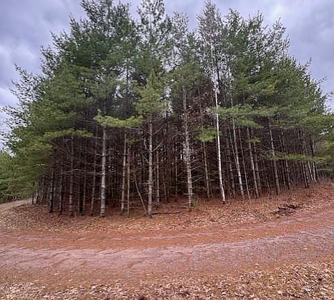 5th image of 11317 Bethel Road