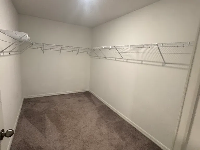 5415 Amaryllis Garden St — Photo 6