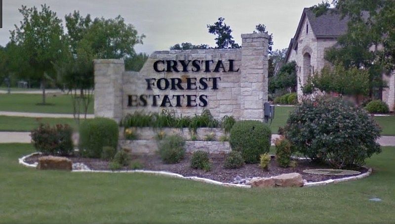 Come Live in Crystal Forest!
