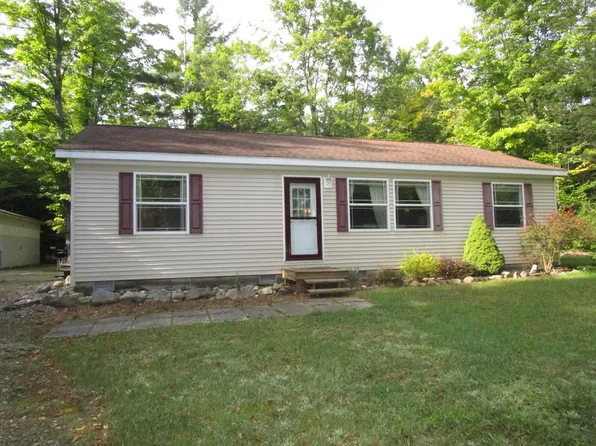 16644 Wildlife Trl, Wolverine, MI 49799