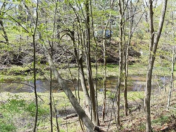 3rd image of 11191 Bayou Ct
