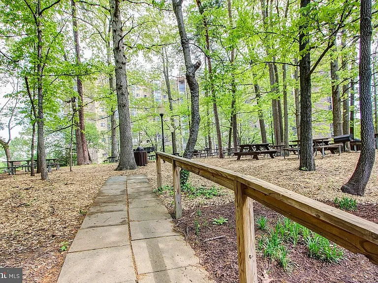 5901 Mount Eagle Dr #1517 — Photo 74
