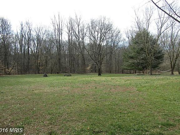 Backyard Winter view