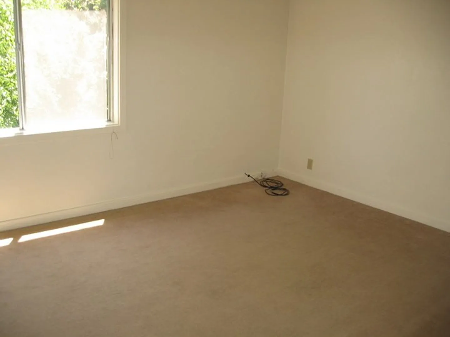 One Bedroom apartment is an easy walk or bike ride to the Cal Campus and Downtown Berkeley. — Photo 3