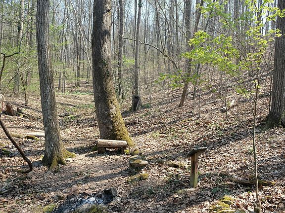 3rd image of 3578 Wolf Creek Rd