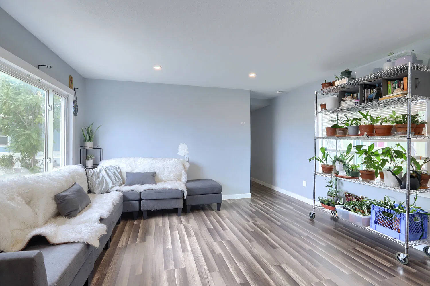 2 bed, 784 sqft, $1,495 — Photo 4