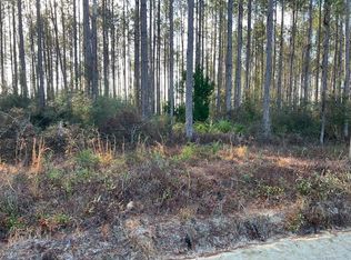 13 Douglas Landing Rd, Wewahitchka, FL 32465