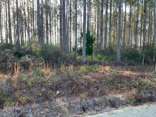 13 Douglas Landing Rd, Wewahitchka, FL 32465