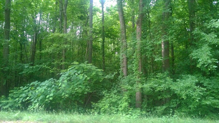 2nd image of 4200 Miami Church Rd