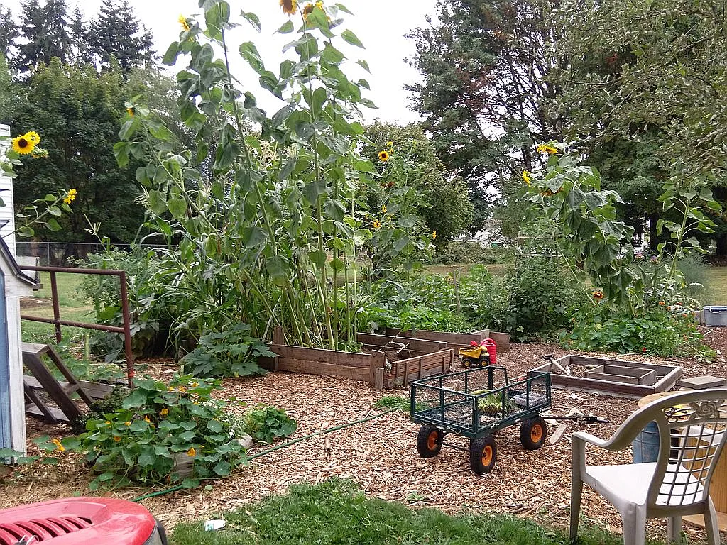 Property photo 5
