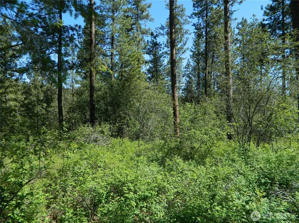 111 TBD Murphy Ranch Road, Tonasket, WA 98855