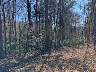 3 Laurel Ridge Rd, Blairsville, GA, 30512