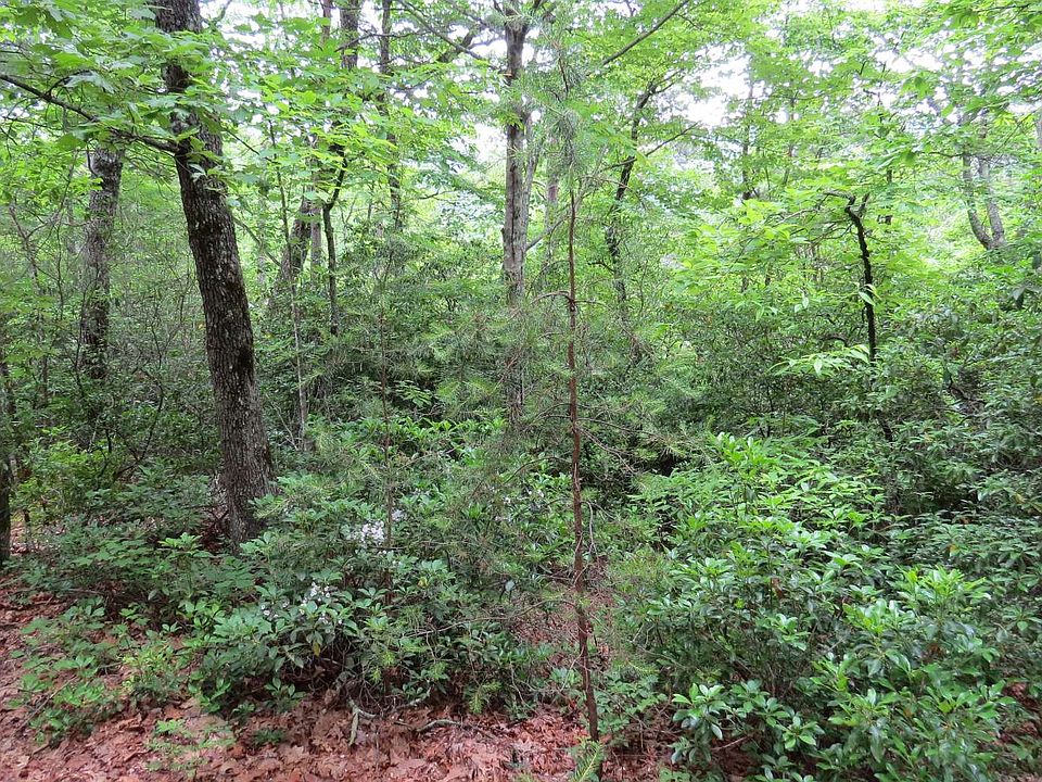 2nd image of Willard Mountain Rd
