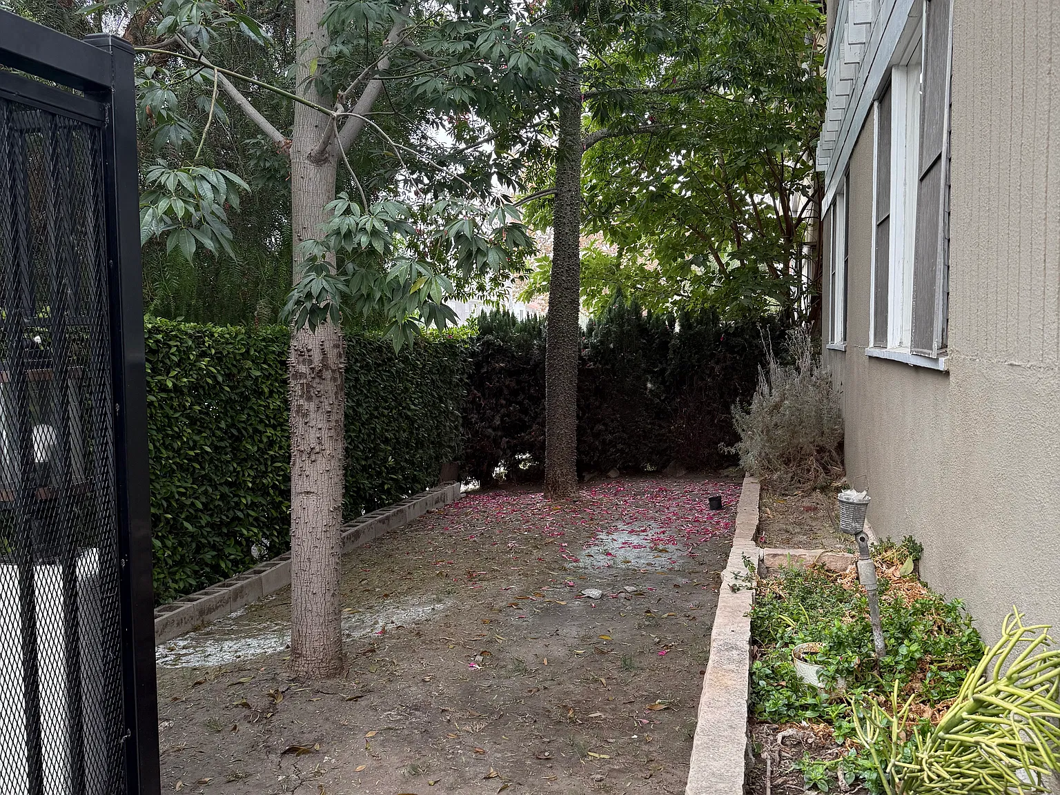 8331 Blackburn Ave — Photo 3