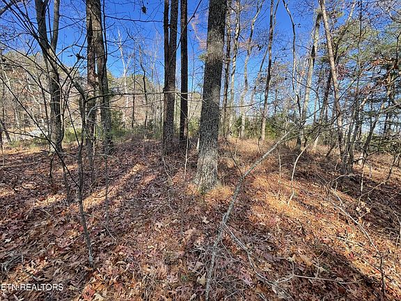 4th image of 27 Tall Pine Cir Lot 27
