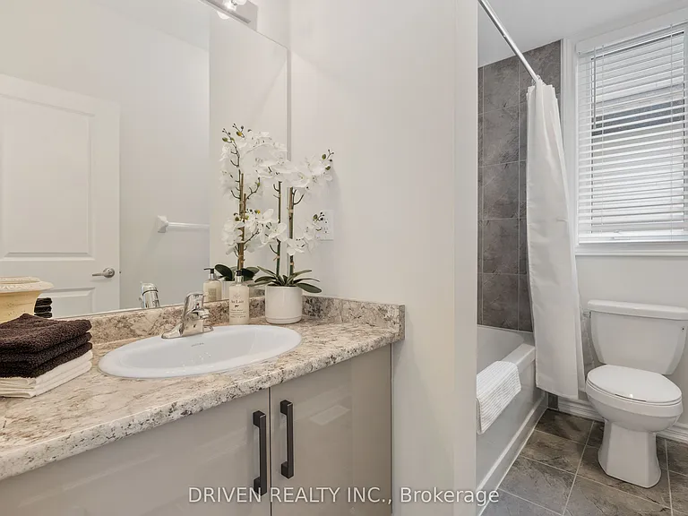 57 Westbury Rd #A — Photo 14